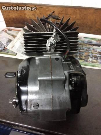 Motor sachs 6 velocidades revisionado