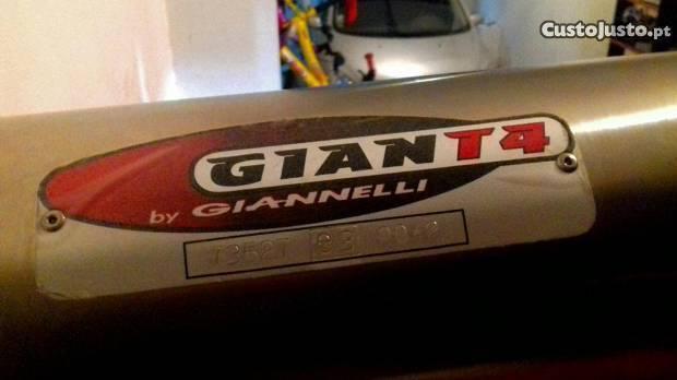 Giannelli giant 4