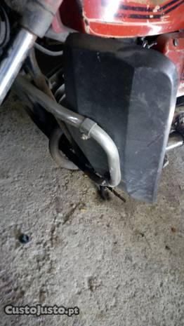 Barao perneiras sachs lotus