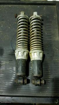 Amortecedores sachs Lotus