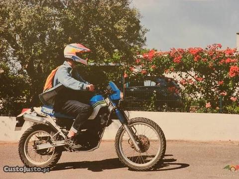 Kawasaki klr 250