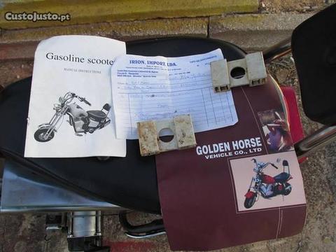 scooter a gasolina