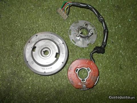 eletronico motoplat mini 6 para motor sachs v.5